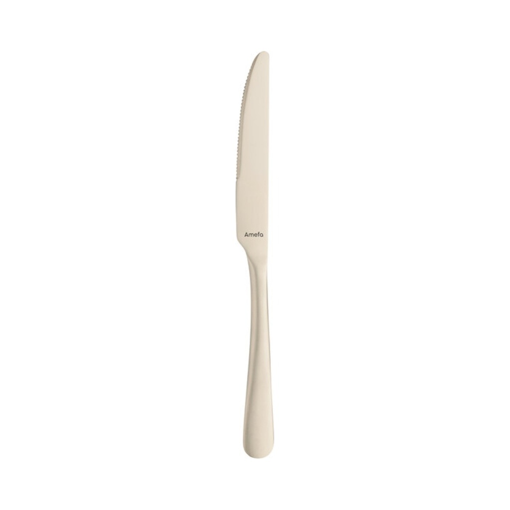 [1410AVB000335] Austin Champagne Desszert kés 18/0 212mm 12db/krt